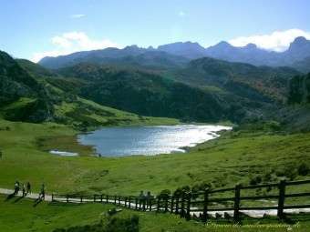 Foro cree que la regulación del Plan de Transporte a Los Lagos no ha cambiado en nada - Concejo de Cangas de Onís